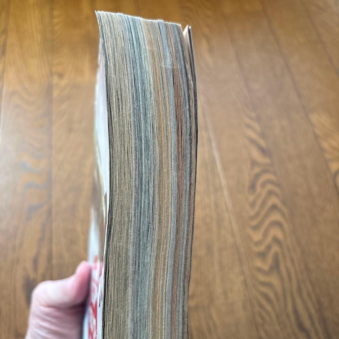 少年ジャンプ1995年25号 ドラゴンボール 最終話 美品