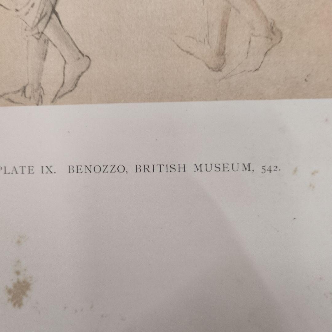 世界史的名著！ バーナード・ベレンソンのフィレンツェ派の素描 第一巻 1903