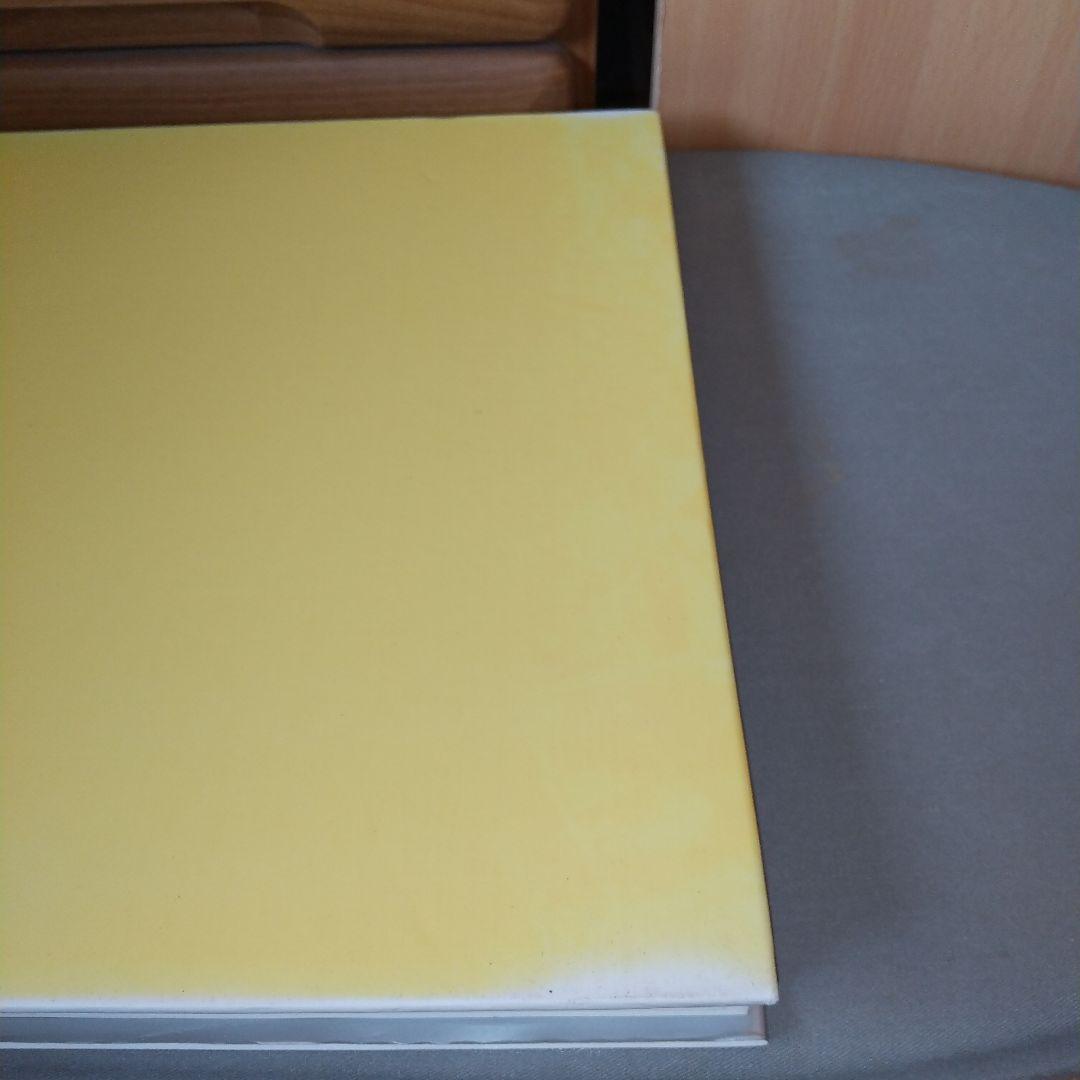 Jackson Pollock 英語版 Ellen G. Landau (著)