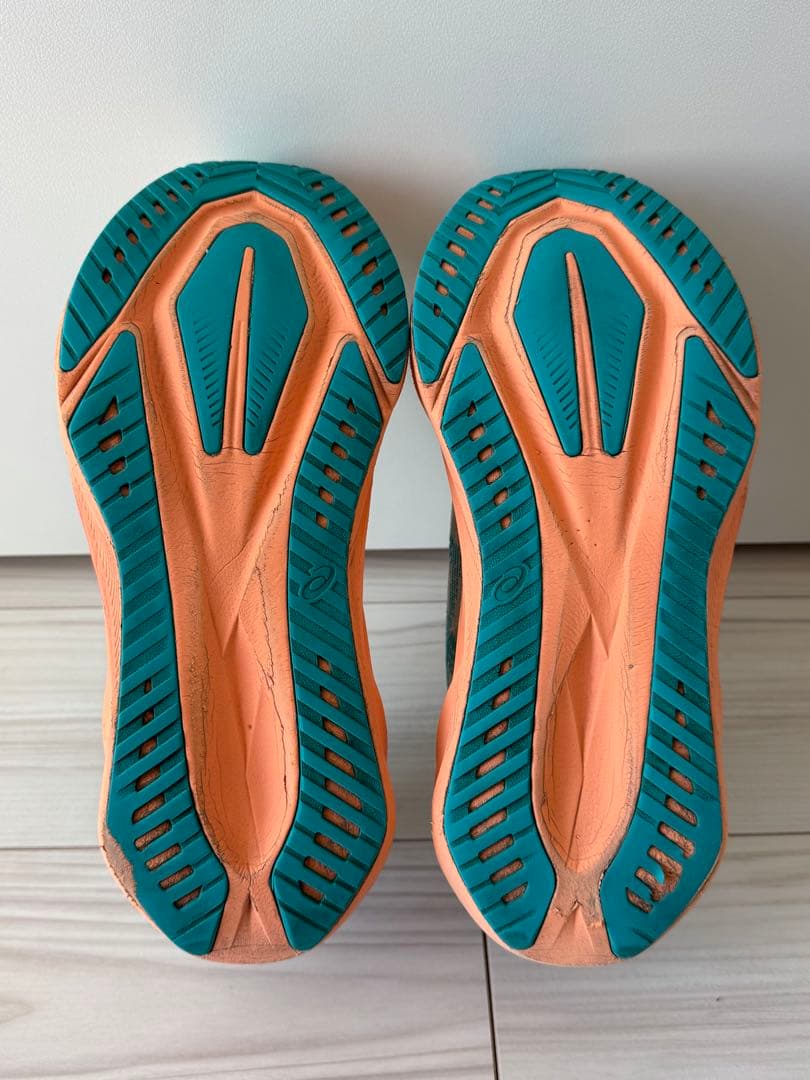 ASICS アシックス　NOVABLAST 5 27.0 ノヴァブラスト