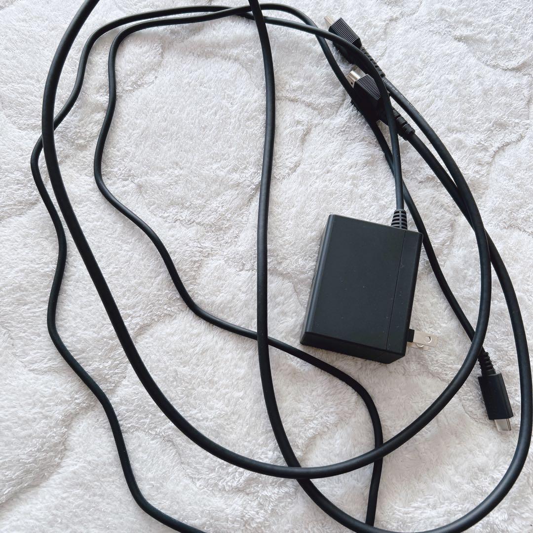 Nintendo Switch あつまれどうぶつの森セット 限定版デザイン 本体