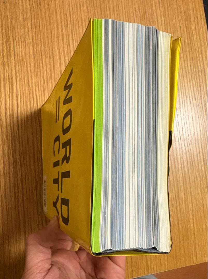 MUTATIONS REM KOOLHAAS レム・クールハース