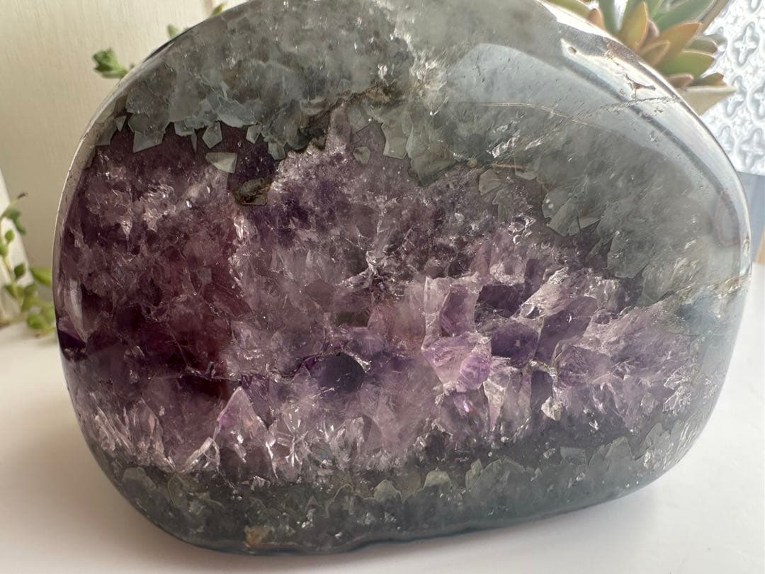 アメジスト がま口ドーム