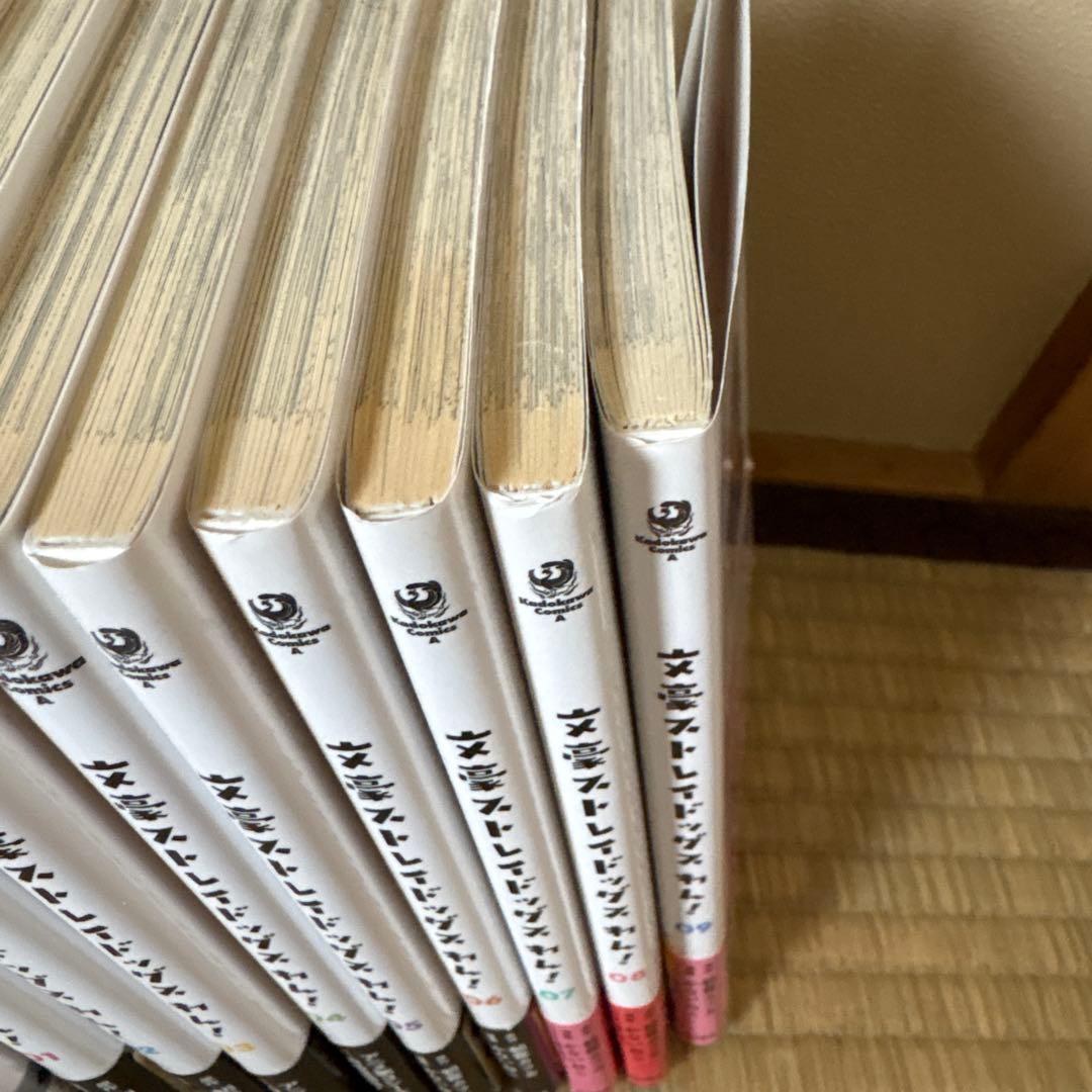 文豪ストレイドッグス 1巻～22巻 文ストわん1巻から9巻