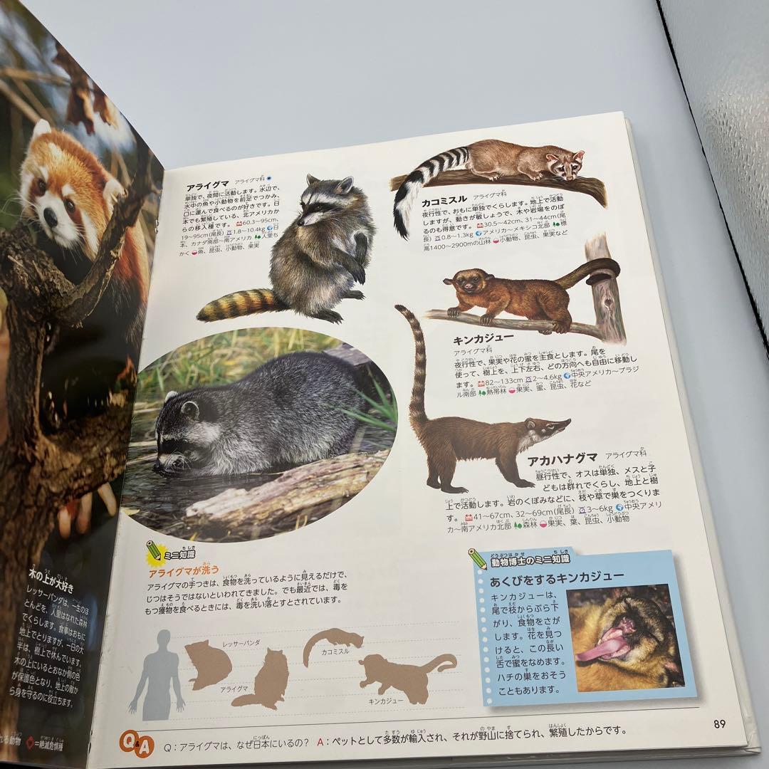 講談社の動く図鑑 MOVE 14冊 DVD12枚　講談社　動物　宇宙　植物