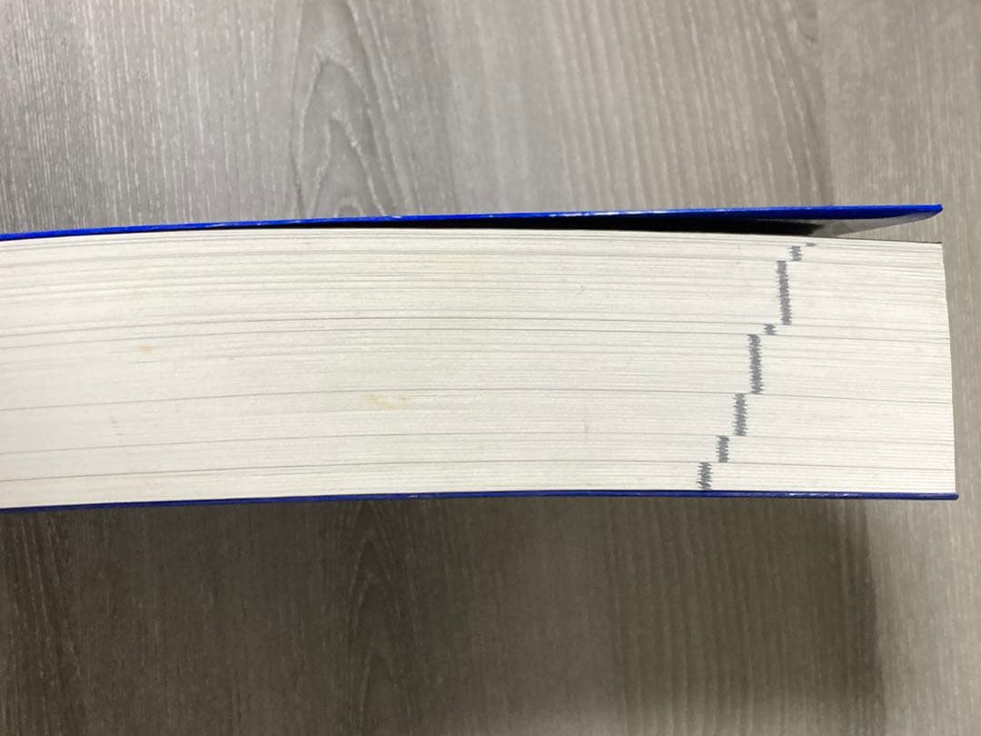 2061:Maxオデッセイ ノイマンピアノ おまけ付き