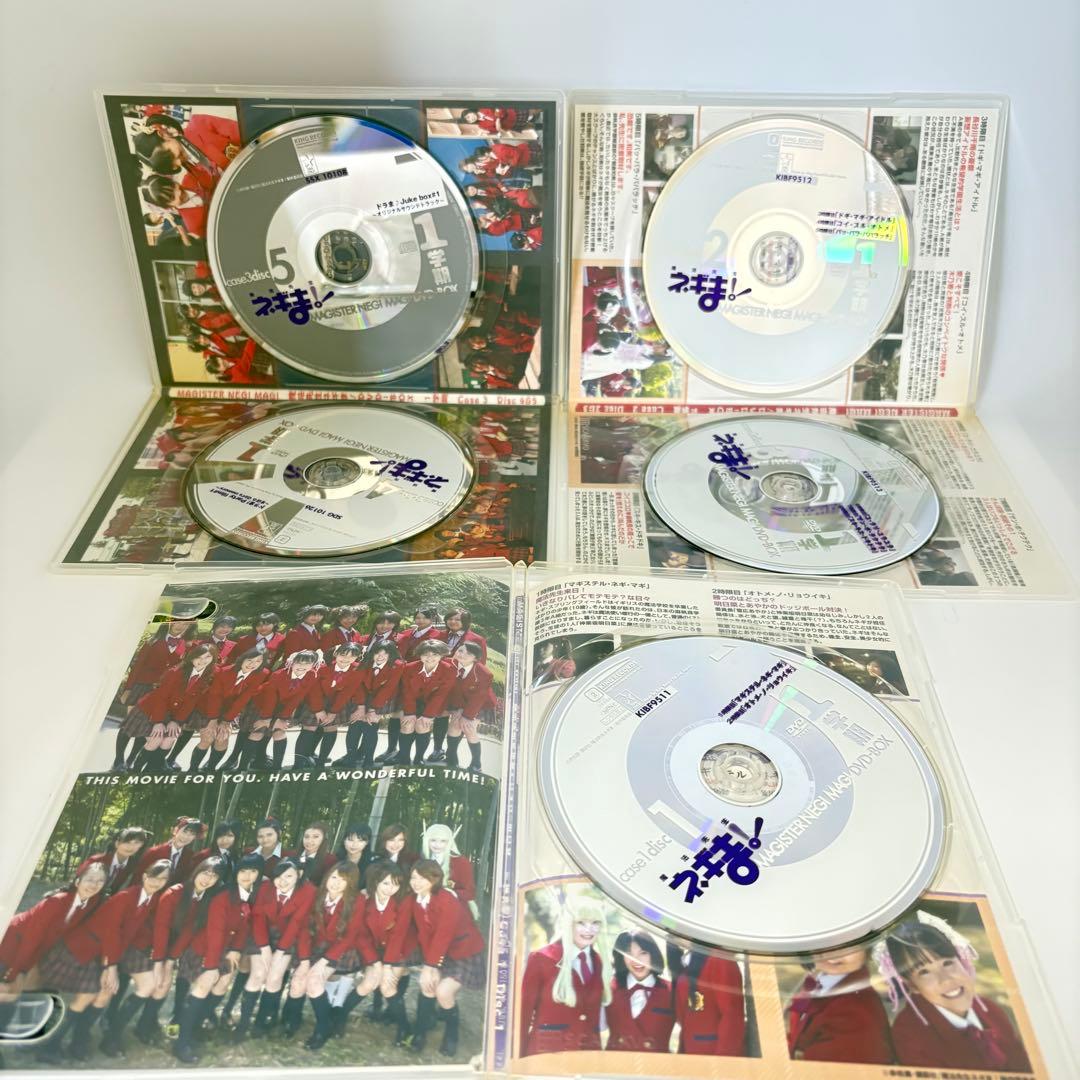 TVドラマ 魔法先生ネギま! DVD-BOX 全巻セット 1-3学期 完結 希少