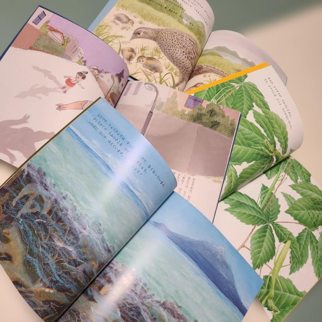 かがくのとも 絵本セット 24巻