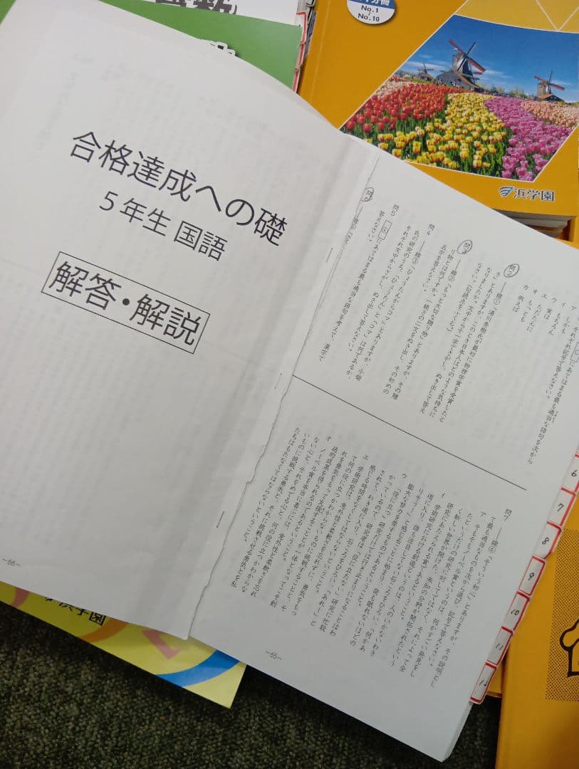 浜学園　小５　国語/算数/理科/春/夏/冬　テキスト　2024年使用版　 中古