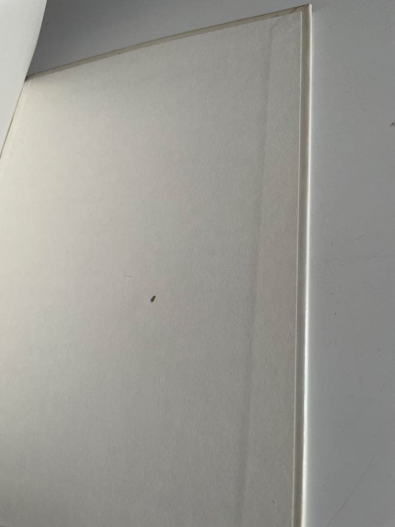 ジョン・レノン Skywriting by Word of Mouth 本