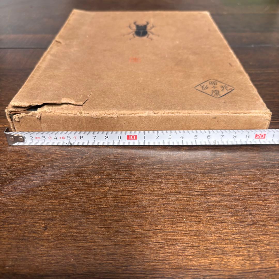 【初版】戦前古書　原色　日本の甲蟲　農学博士　横山桐郎　昆虫　昔の図鑑　戦前