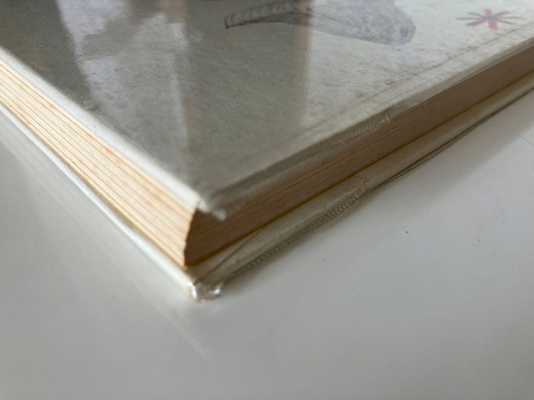 白いぼうしのおか