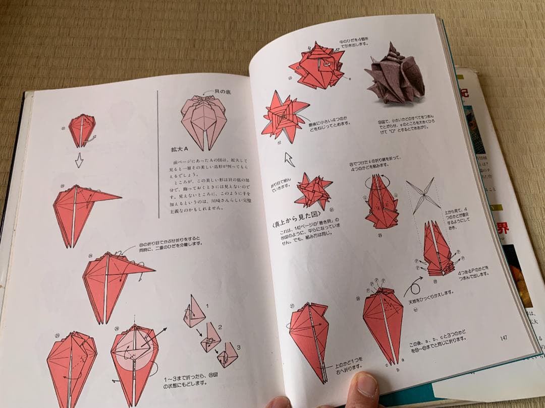 トップおりがみ 高濱利恵 笠原 邦彦 TOP Takahama ビバ！VIVA