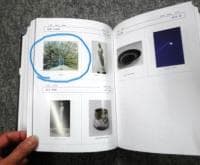 美術本に掲載された作品。保田三友紀の油絵、孔雀F10号