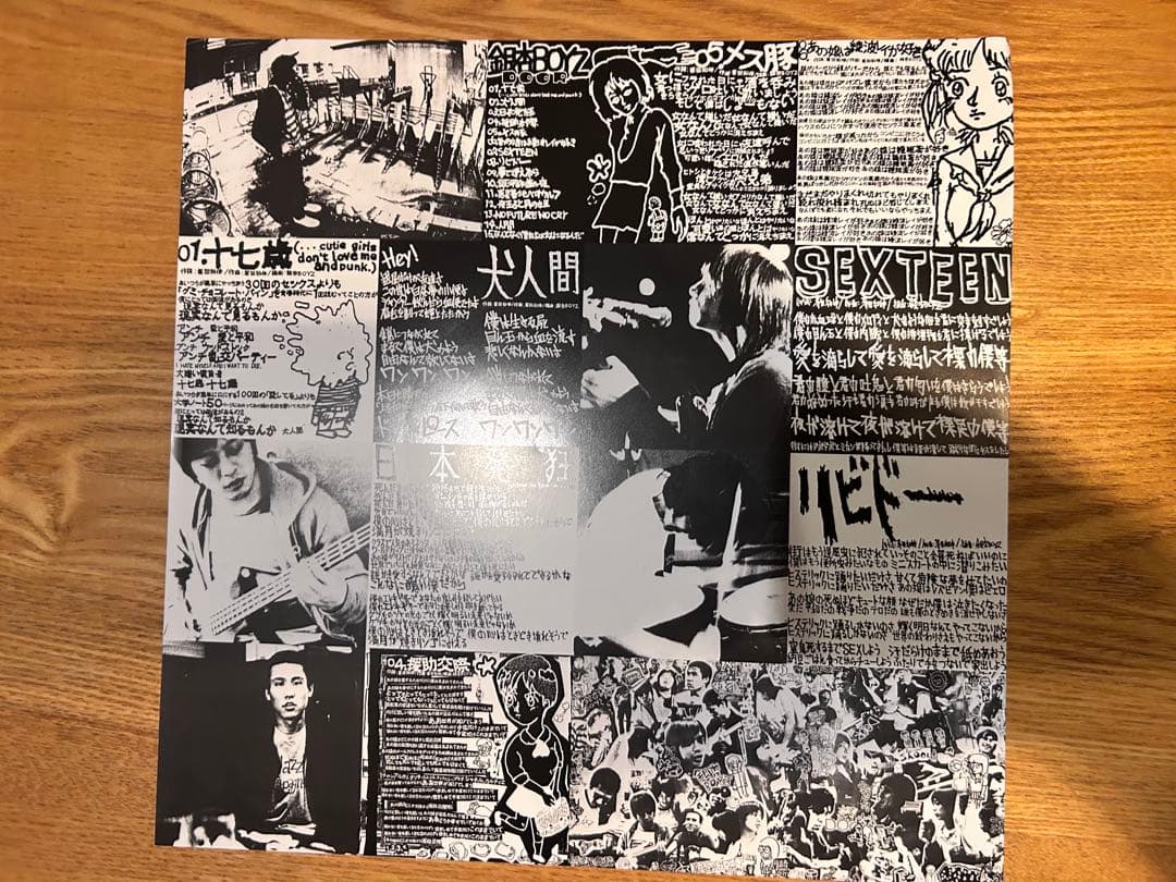 ２組セット銀杏BOYZLP中古レコードDOOR 君と僕の第三次世界大戦的恋愛革命