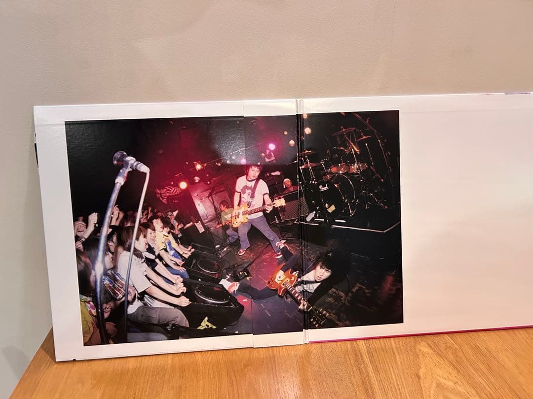 ２組セット銀杏BOYZLP中古レコードDOOR 君と僕の第三次世界大戦的恋愛革命