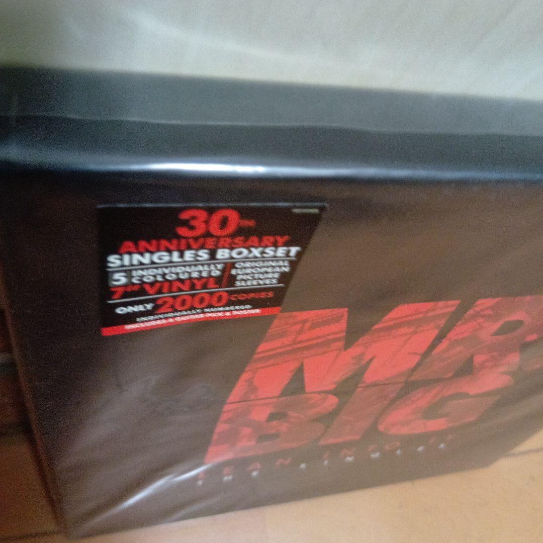 Mr. Big★ミスタービッグ★LEAN INTO IT SINGLE BOX