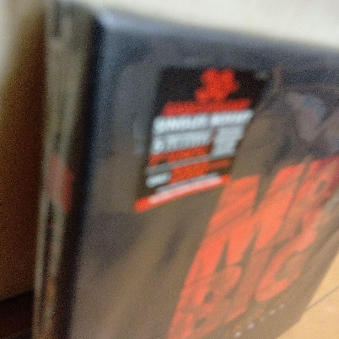 Mr. Big★ミスタービッグ★LEAN INTO IT SINGLE BOX