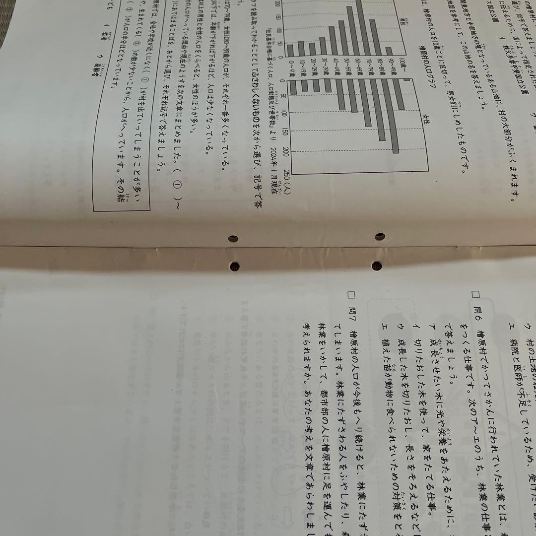 2025年❗️日能研 4年 ステージⅡ 育成テスト【前期】4科目❺〜➓