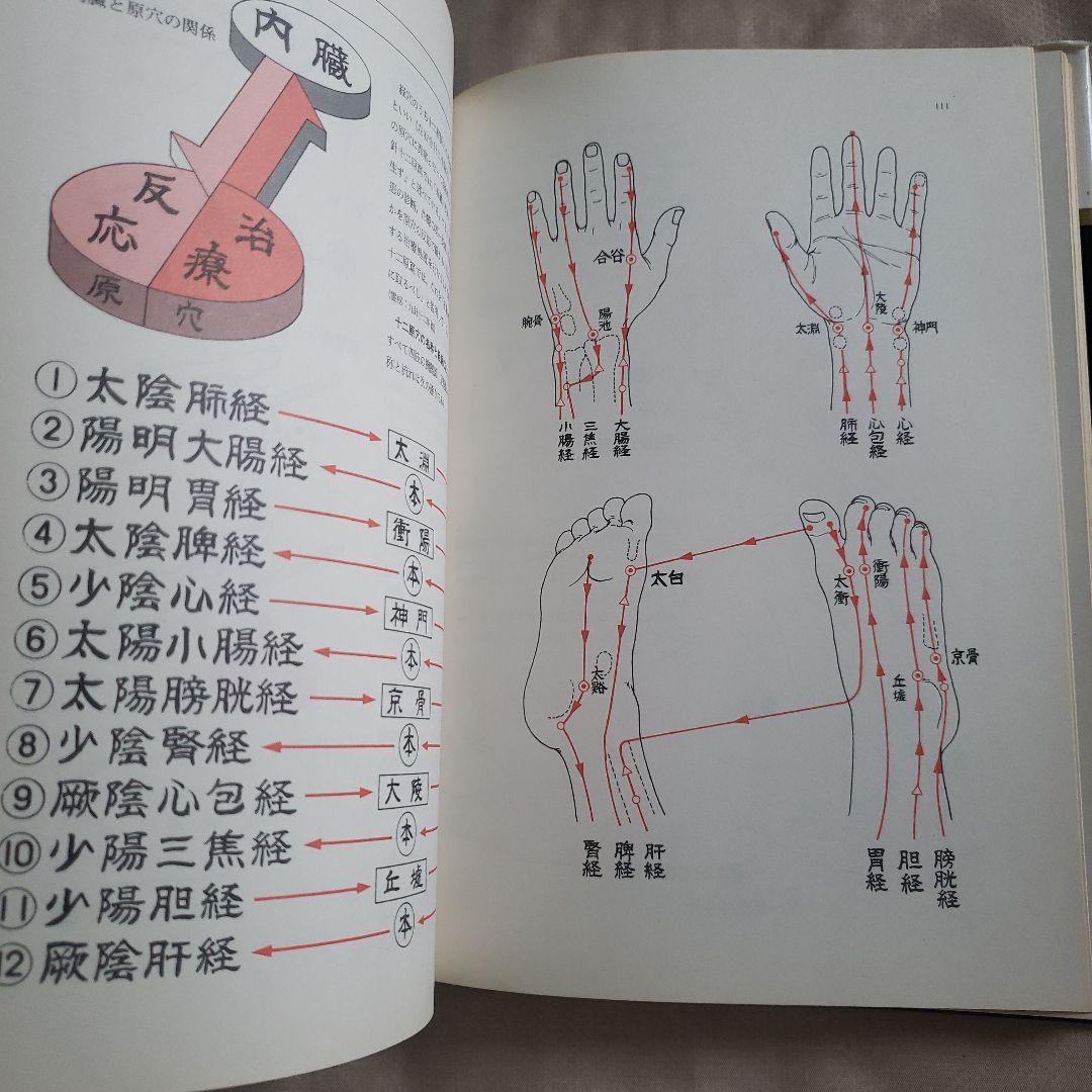 図説 東洋医学 基礎編