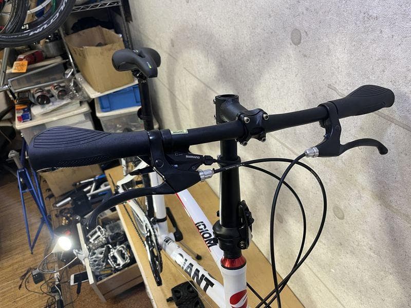 GIANT IDIOM 20インチ ジャイアント　ミニベロ　サイズM