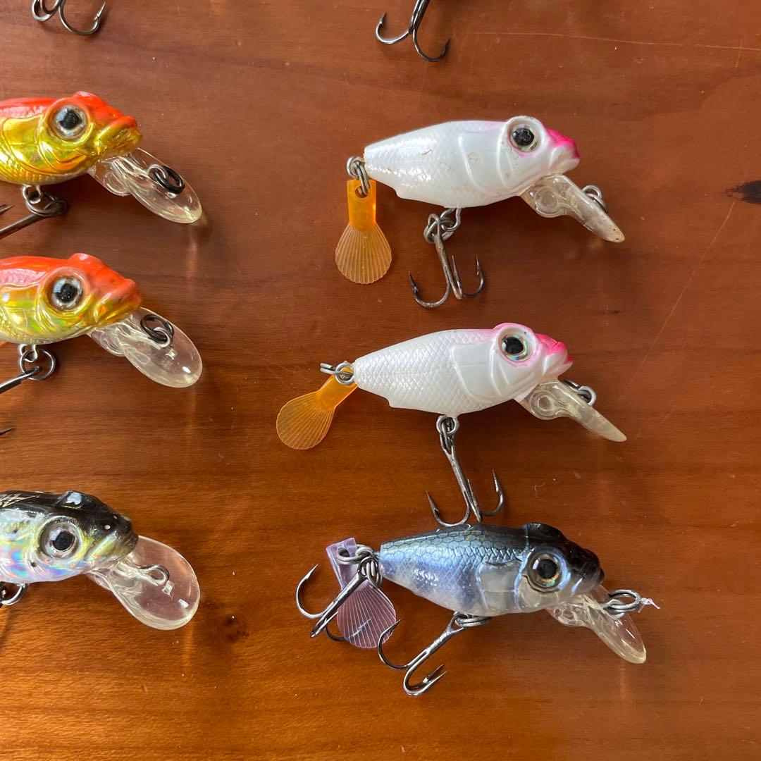 デュエル アイル キリフィッシュ　ゴビー