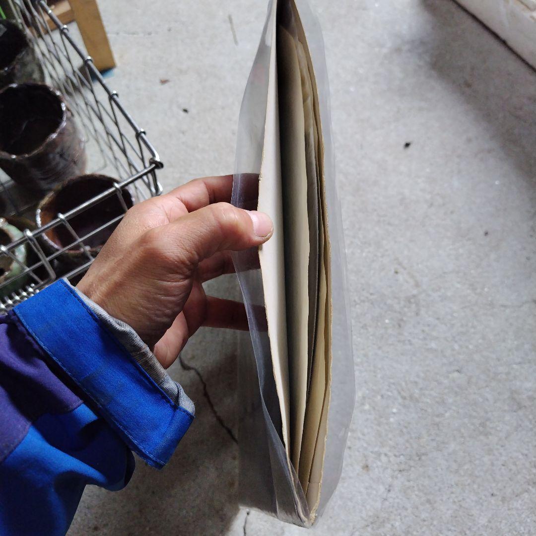 美盤ROOTS RADICS Freelance UK盤オリジナルDubレコード