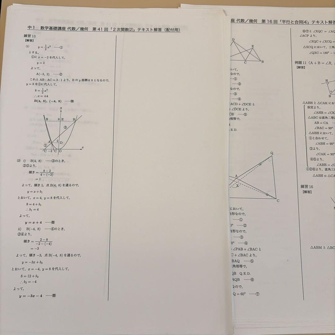 鉄緑会中１数学基礎講座 代数/幾何 通年セット 解説板書付き