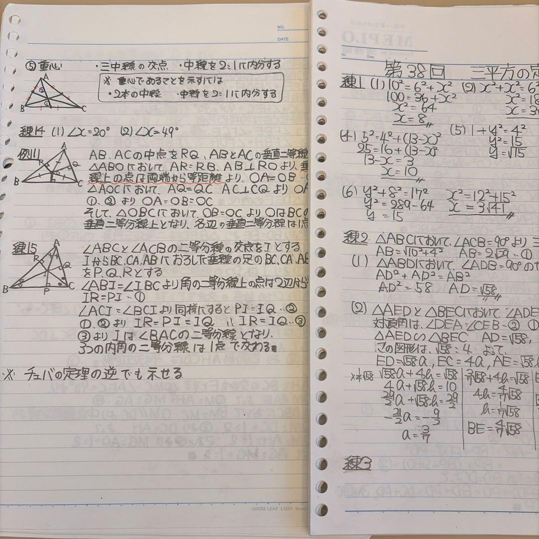 鉄緑会中１数学基礎講座 代数/幾何 通年セット 解説板書付き