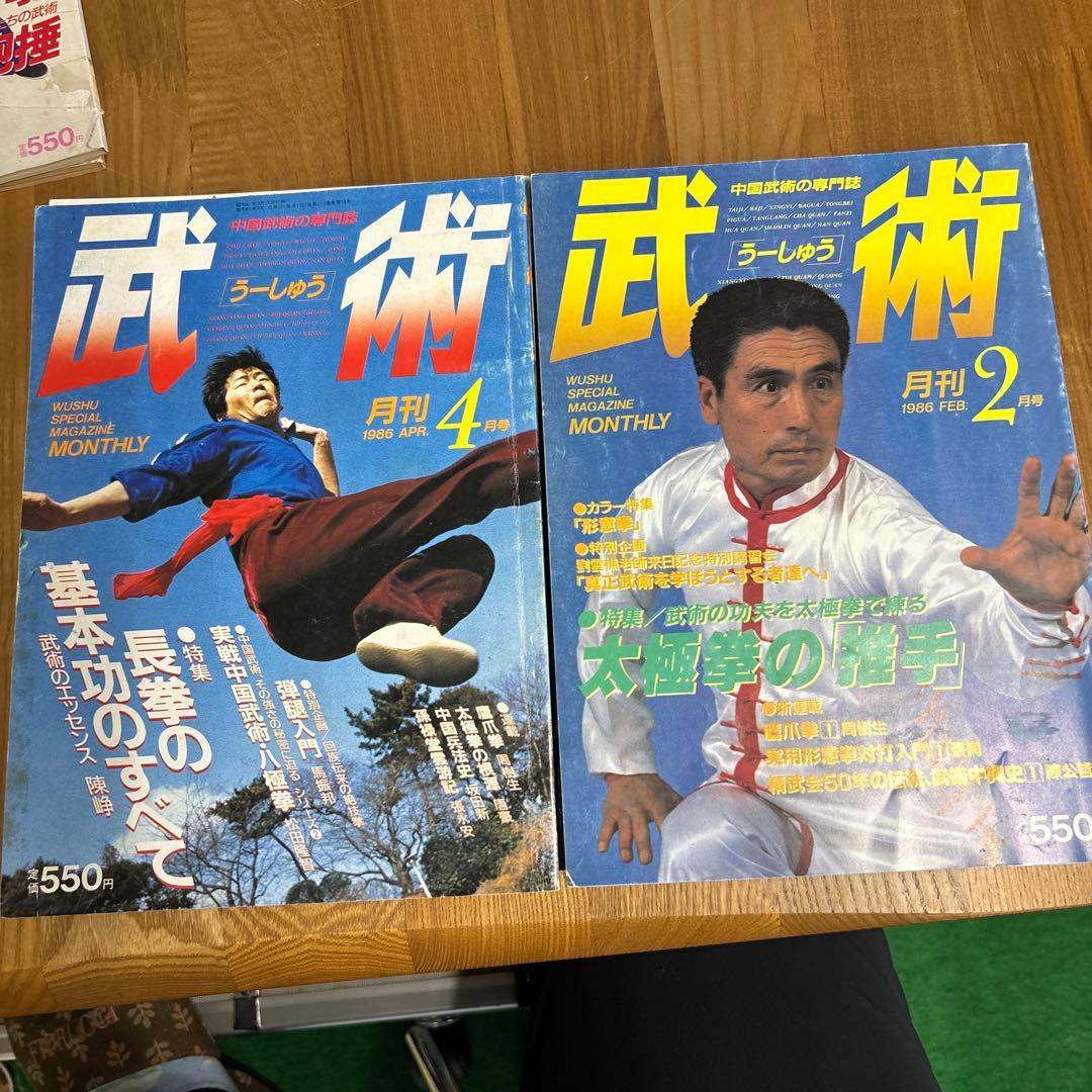 中国武術の専門誌 武術 うーしゅう 16冊 現状品