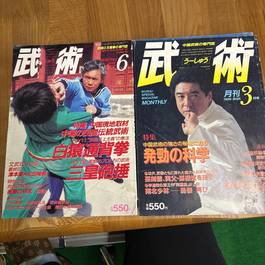 中国武術の専門誌 武術 うーしゅう 16冊 現状品