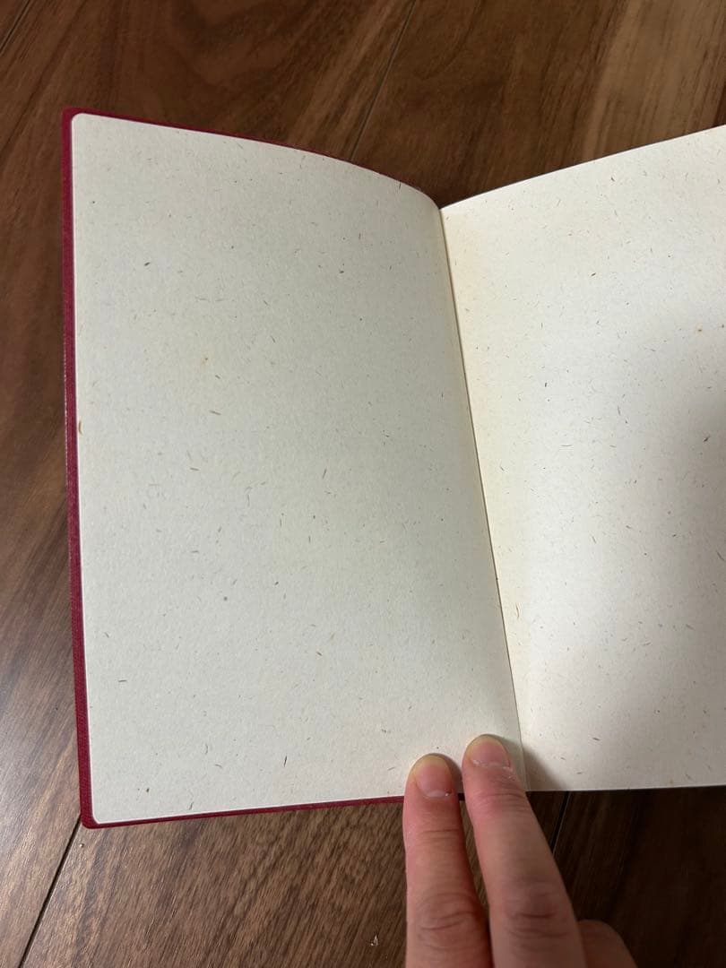 白水社 ドイツ語副詞辞典 岩崎英二郎編