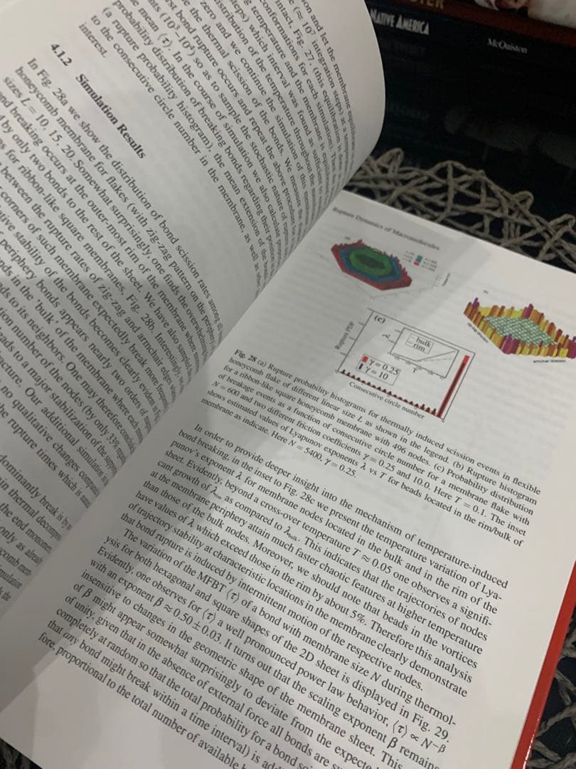 Fracture Mechanics and Statistical 洋書　レア