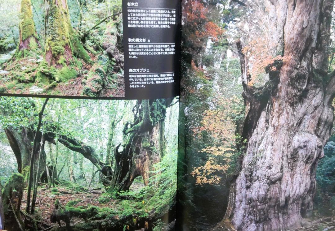 至宝の大自然屋久島　源流を求めて　太田五雄山岳記録写真文集