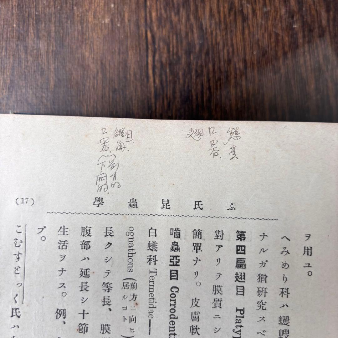 戦前古書　ふをるそむ氏　昆蟲学　貴重　レア　戦前　明治時代