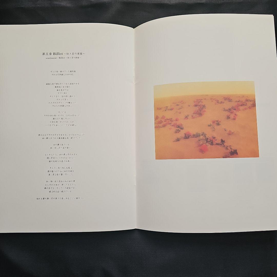 【貴重】LAREINE　&　NEW SODMY パンフセット　KAMIJO