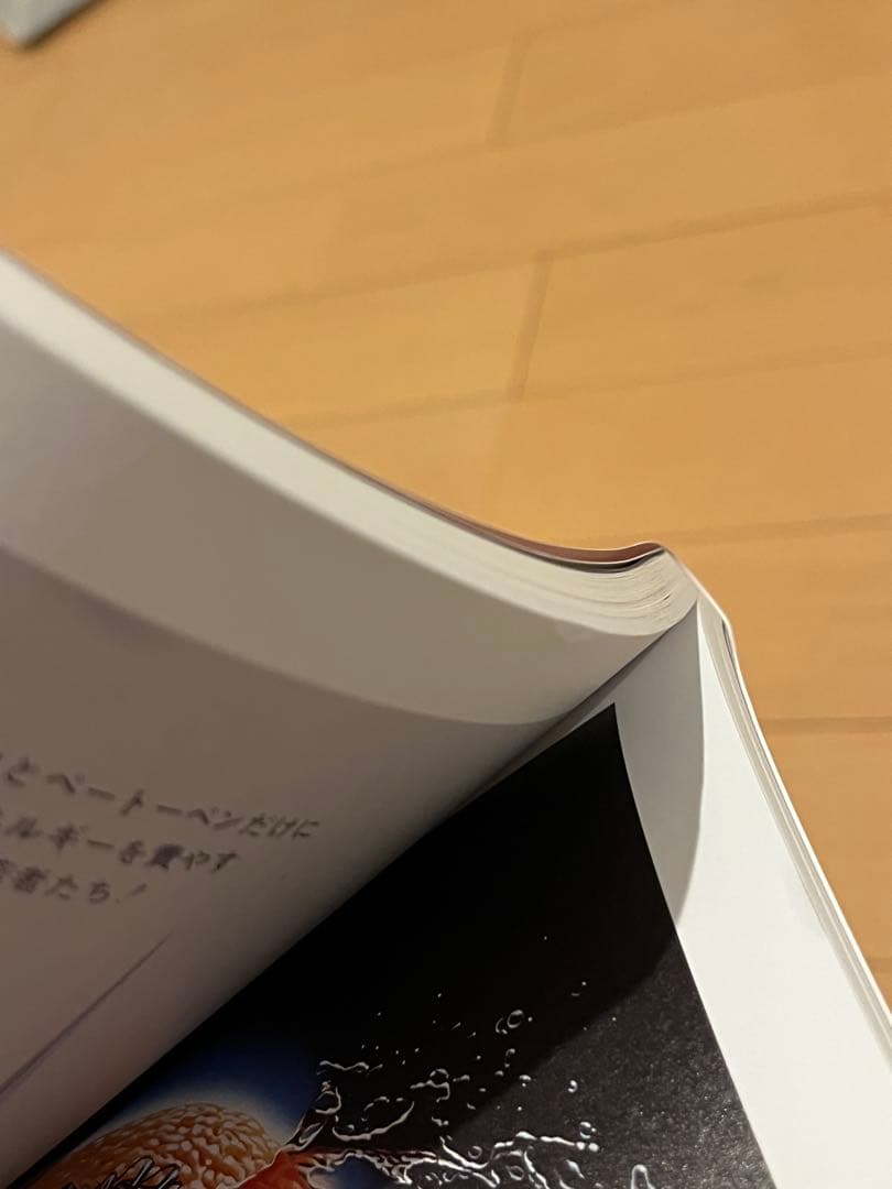 即完売）スタンリー・キューブリック 映画ポスター・アーカイヴ　帯あり　希少品