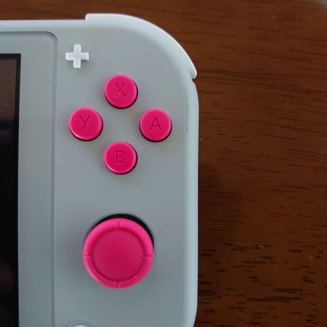 Nintendo Switch Lite ザシアン　ザマゼンタ おまけ付き