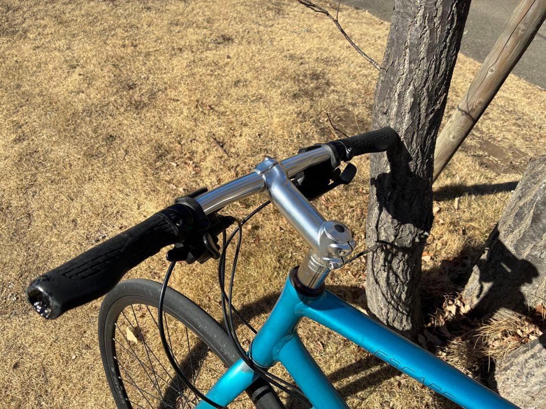 GIANT ESCAPE DISC ジャイアント　クロスバイク