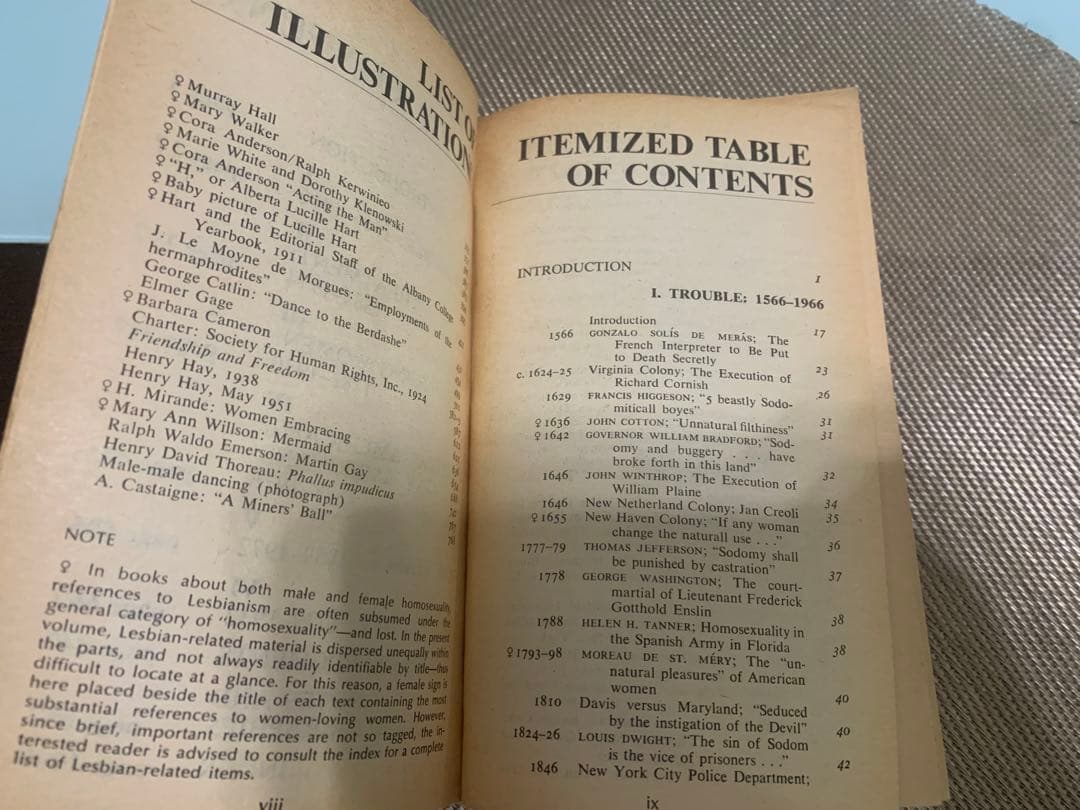 洋書 GAY AMERICAN HISTORY Jonathan Katz