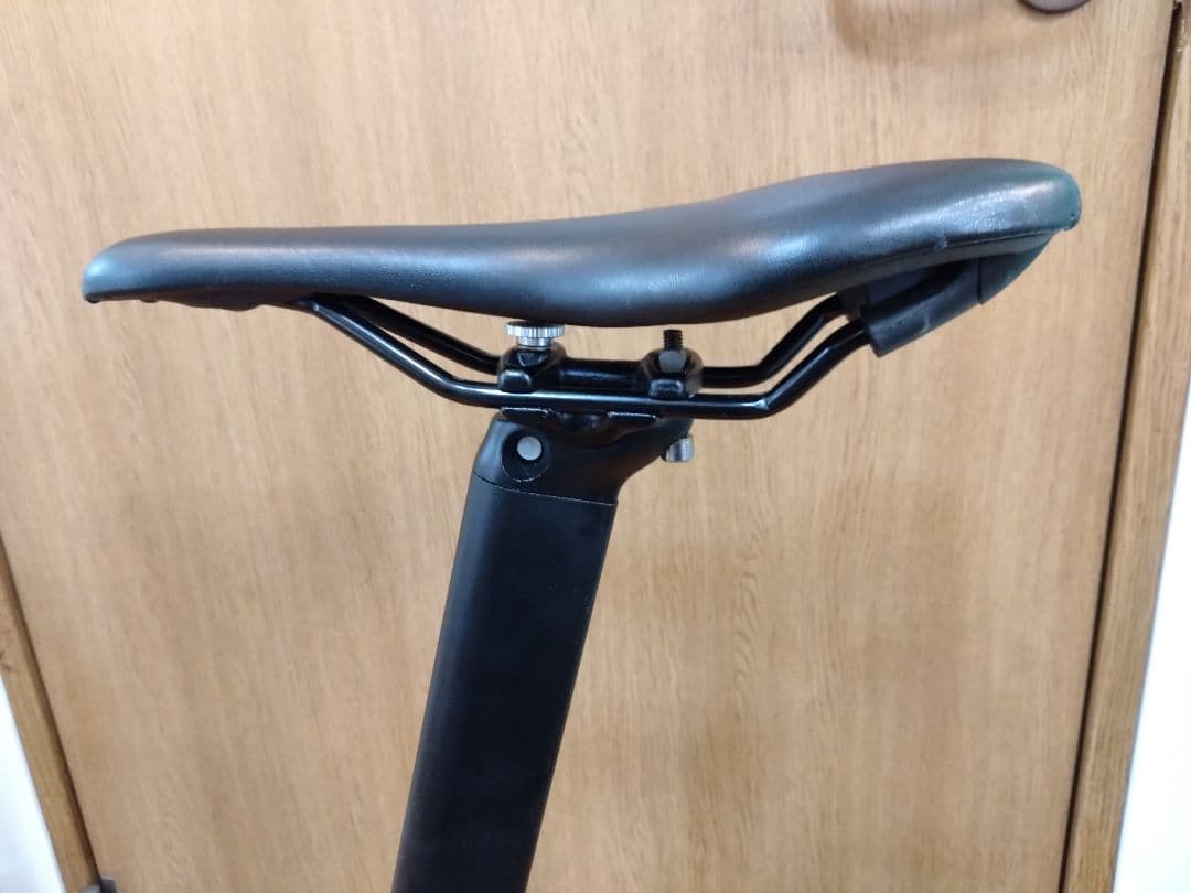 RENAULT　ルノー　Carbon 6　カーボン 6　神奈川　超軽量？