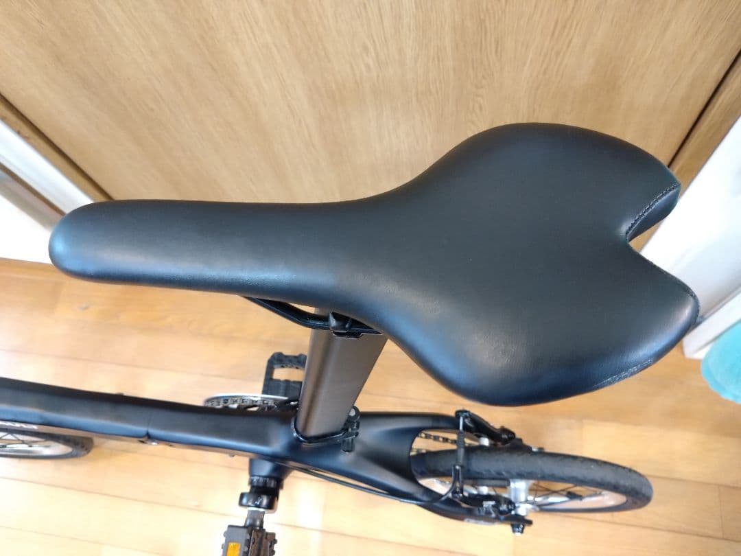 RENAULT　ルノー　Carbon 6　カーボン 6　神奈川　超軽量？