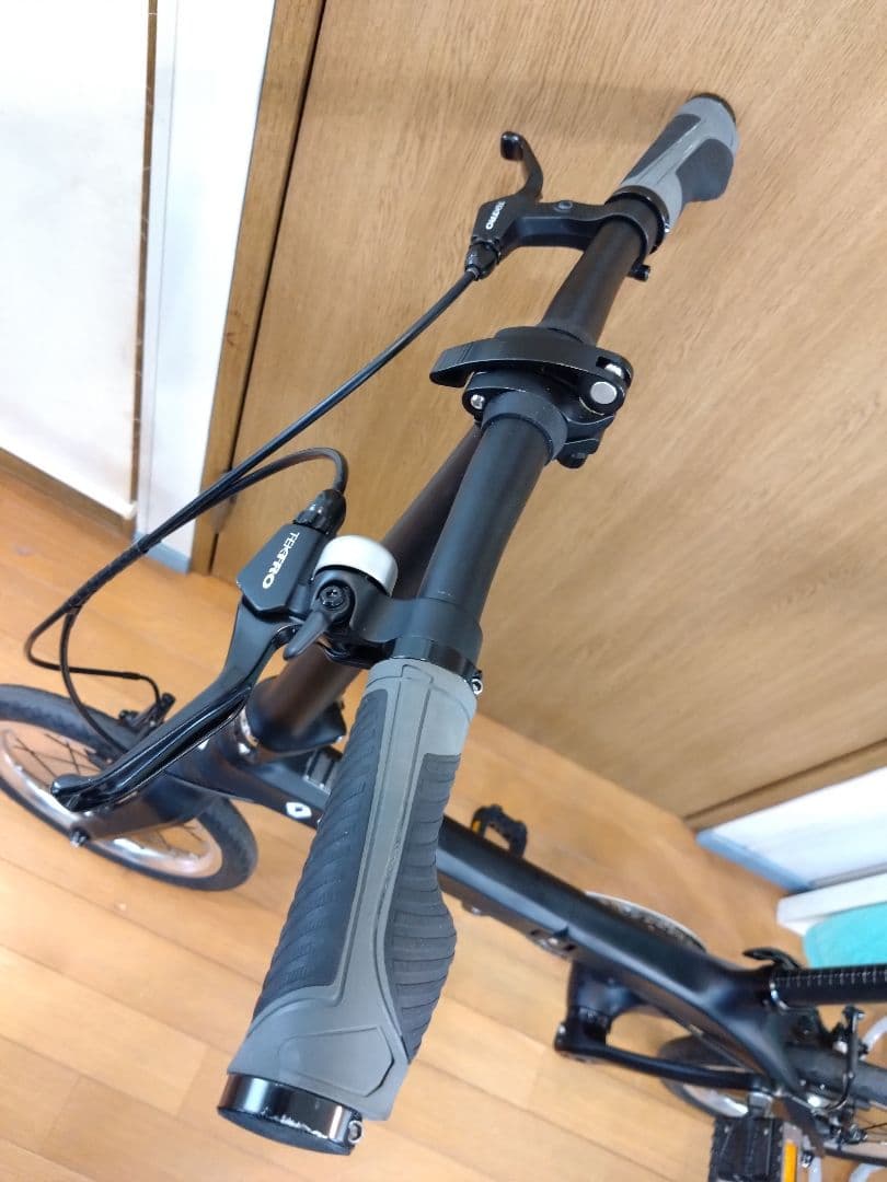 RENAULT　ルノー　Carbon 6　カーボン 6　神奈川　超軽量？