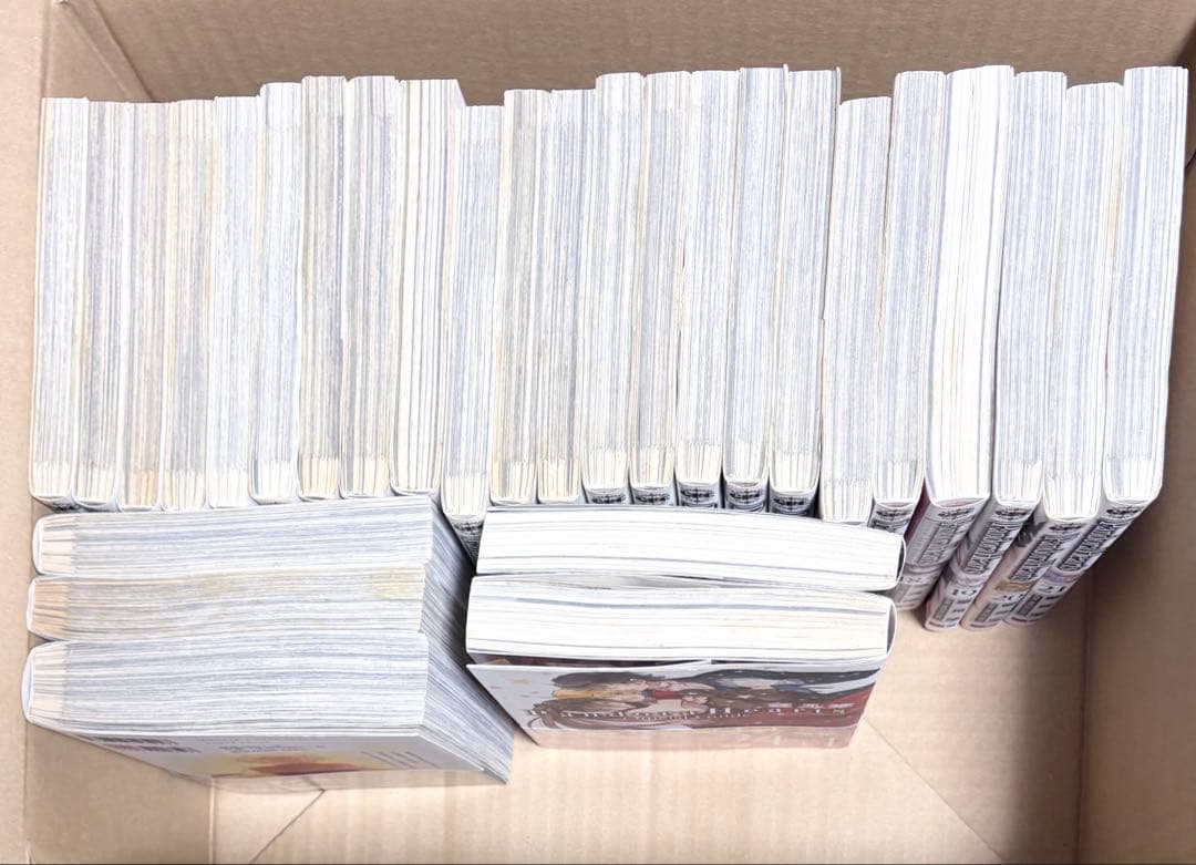 Pandora Hearts 1巻〜24巻 ガイドブック 小説 望月淳