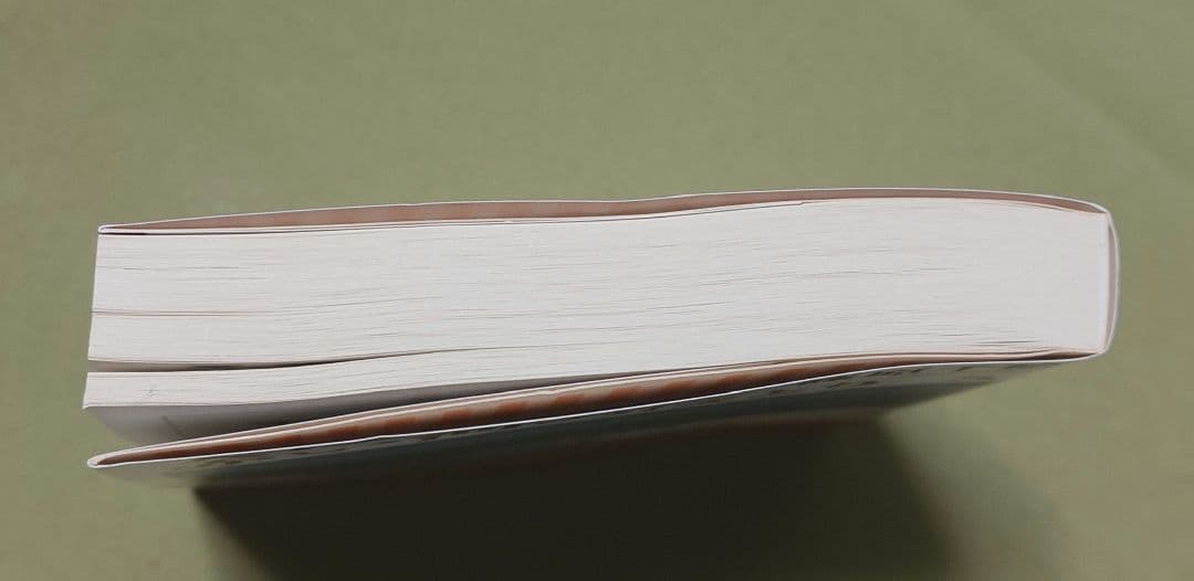 天は赤い河のほとり 全巻