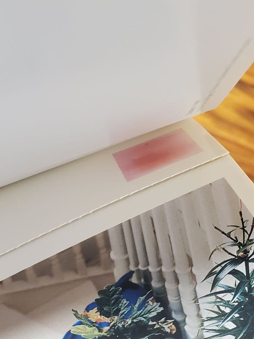 アート・デザイン・音楽 Wolfgang Tillmans SNAP ART COLLECTION 3