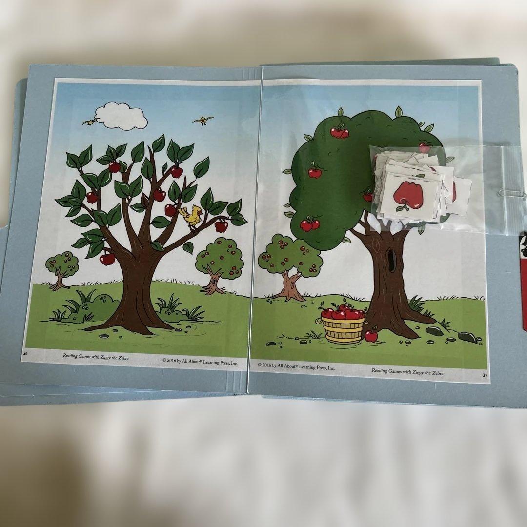 All About Reading Level 1 教材セット