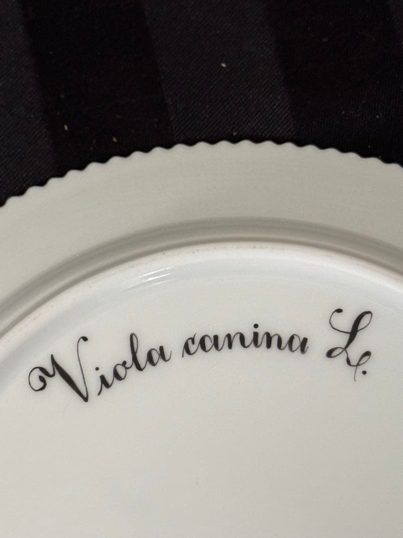   ロイヤルコペンハーゲン フローラダニカ