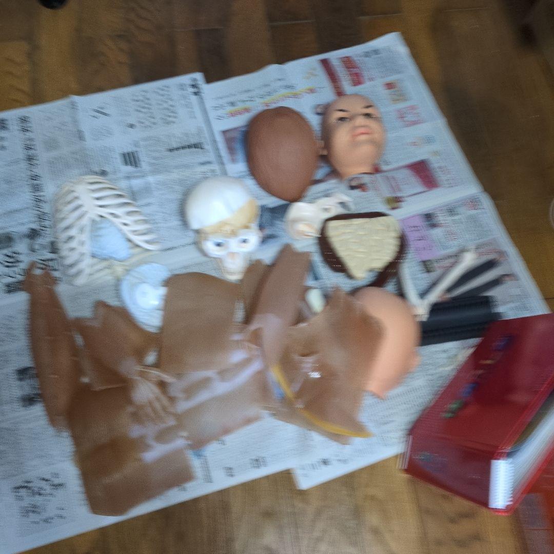 体のふしぎ 八冊セットとその他グッズ 10万円以上使われてると思います