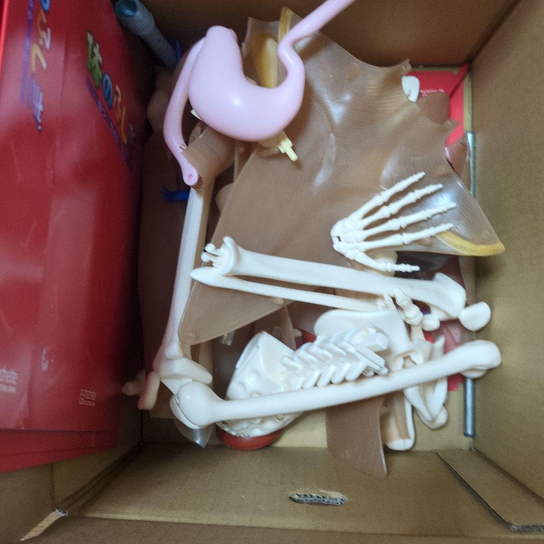 体のふしぎ 八冊セットとその他グッズ 10万円以上使われてると思います